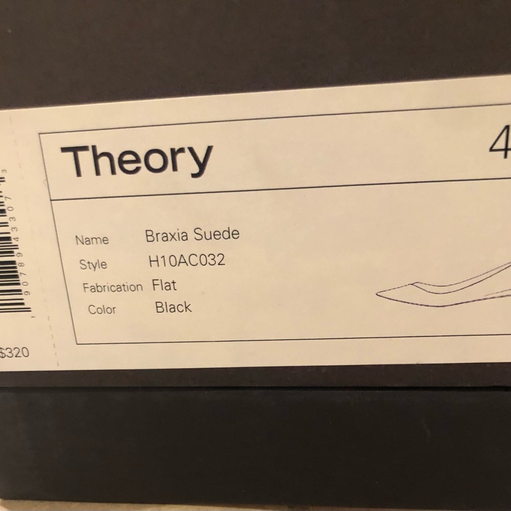 NIB Theory Braxia Suede Flats